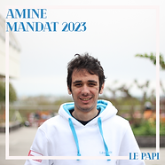Amine.png